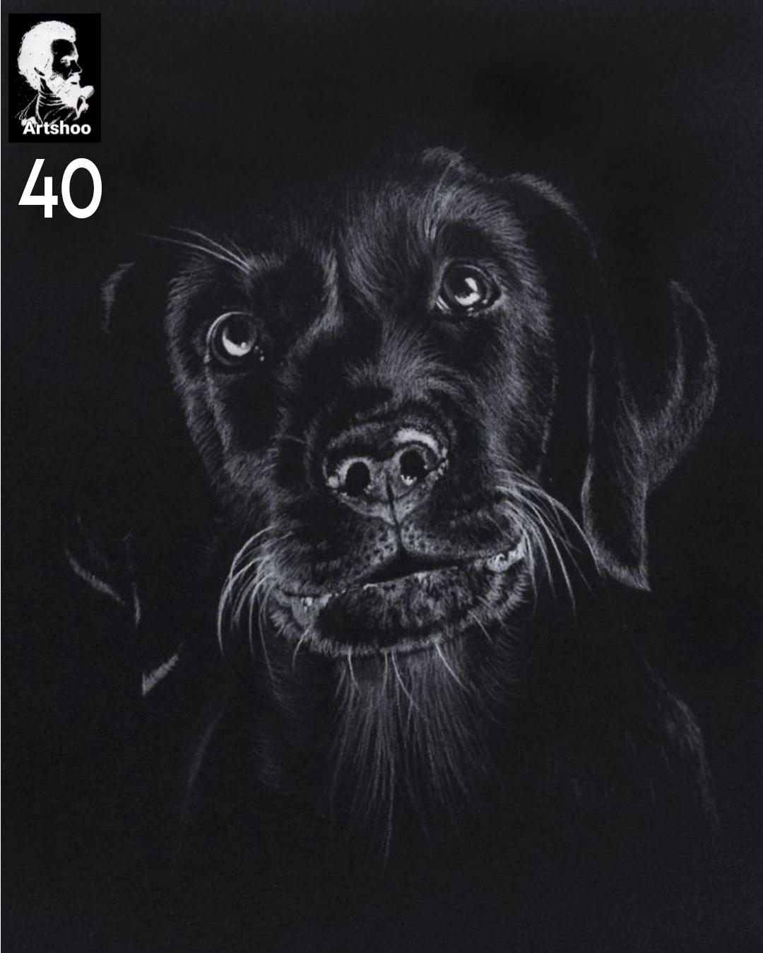 آموزش نقاشی طراحی سیاه قلم شهرری